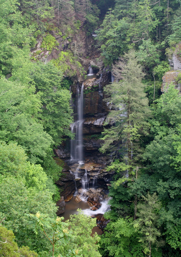 Elevation of White Oak Mountain Rd, Tryon, NC, USA Topographic Map