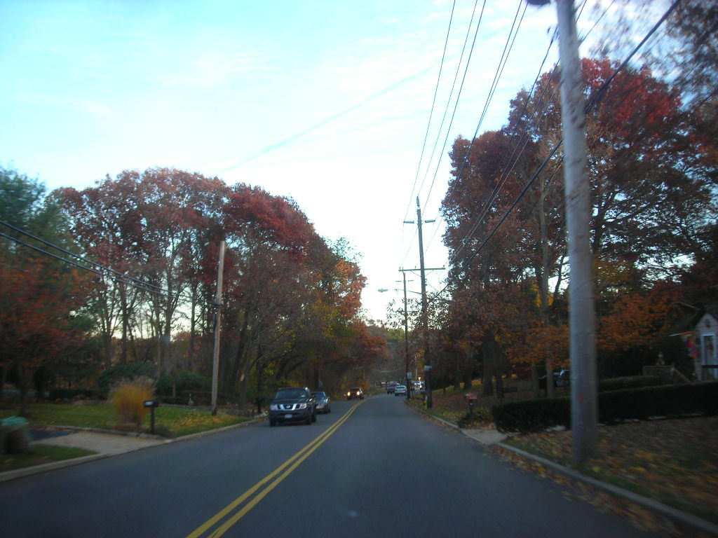 Gibbs Pond Road Nesconset, New York Flickr