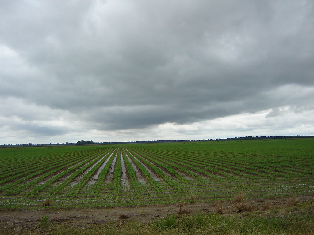 DSC02034 Mississippi Delta land, Bolivar County Mississipp… Flickr