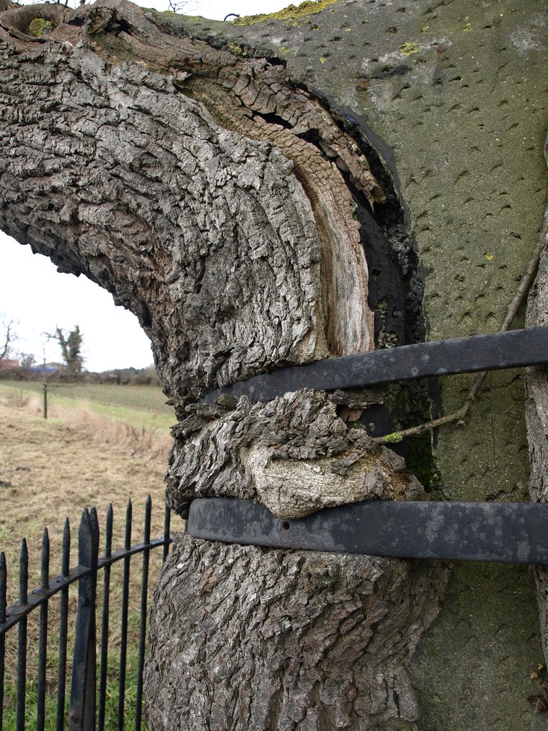 Iron Bindings these binding are now 100 years old and hold… Flickr