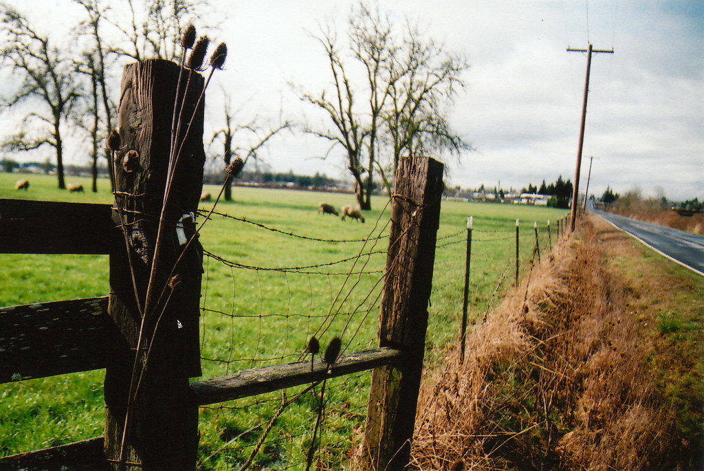 35mm Coburg Coburg, Oregon Late Winter 2010 MillerAshleySarah Flickr