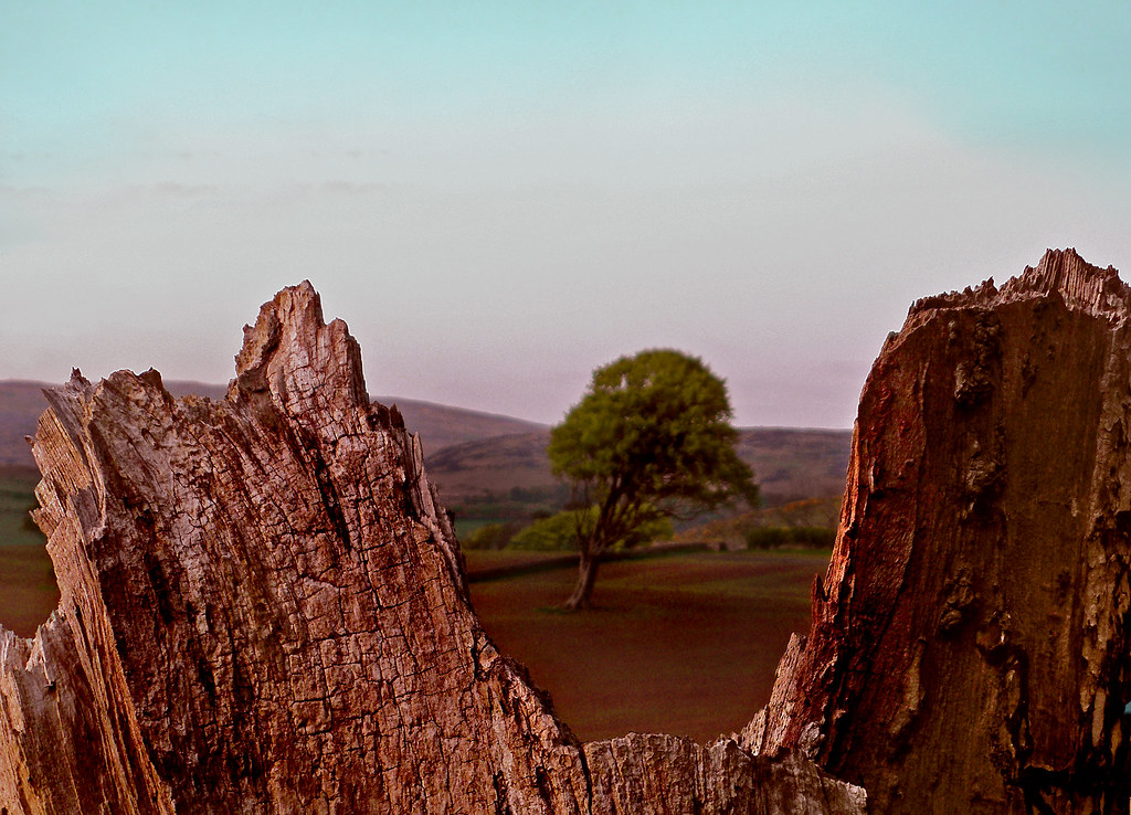 Notch At the high end of Portencross Road, West Kilbride, … Flickr