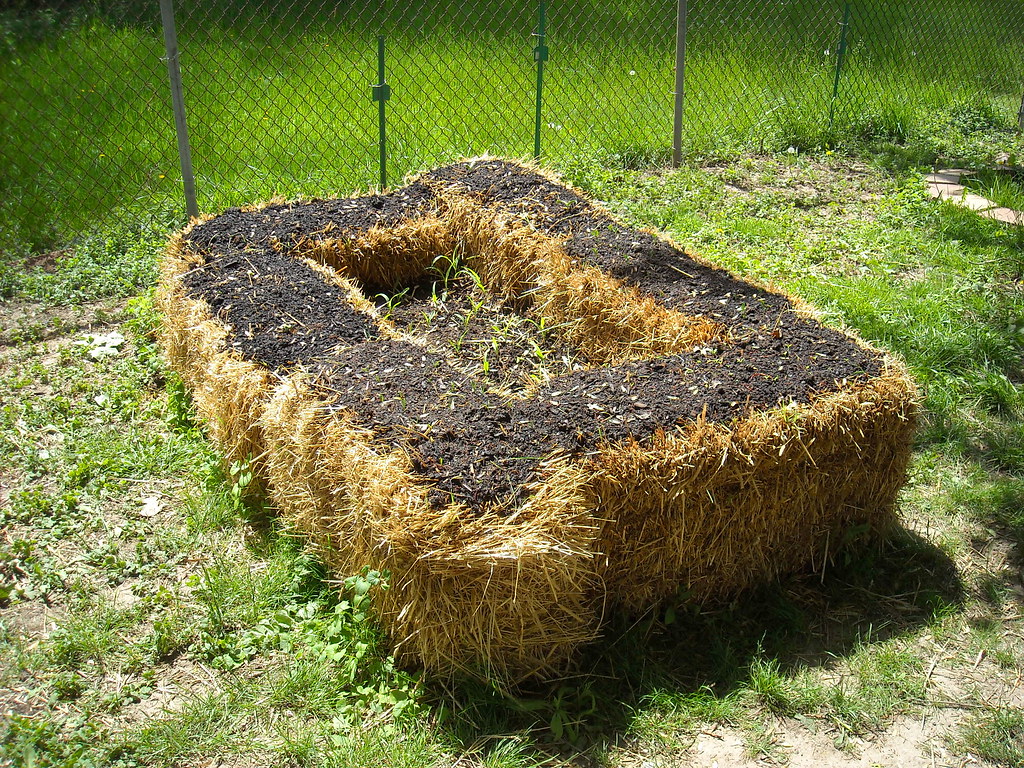 Planted Straw Bale Garden Scott SherrillMix Flickr