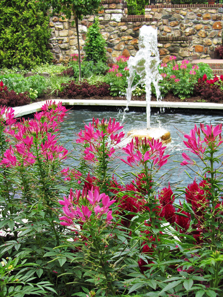 Flowers and Fountain One of many fountains. nfin10 Flickr