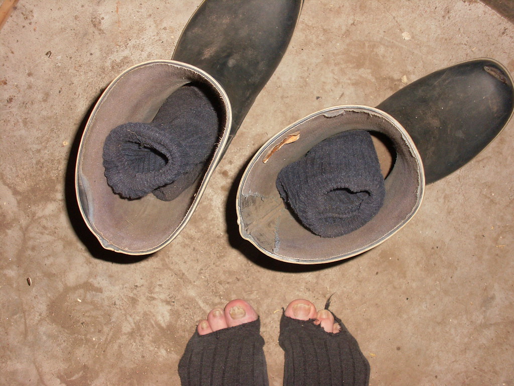 wet rubber boots cold feet (socks are wet since yesterday … Flickr