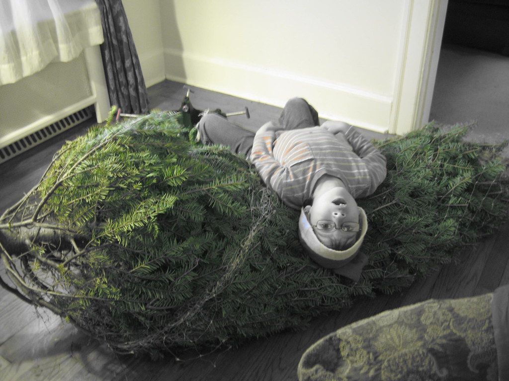 IMG_8365 There's a bunny under my bed Flickr