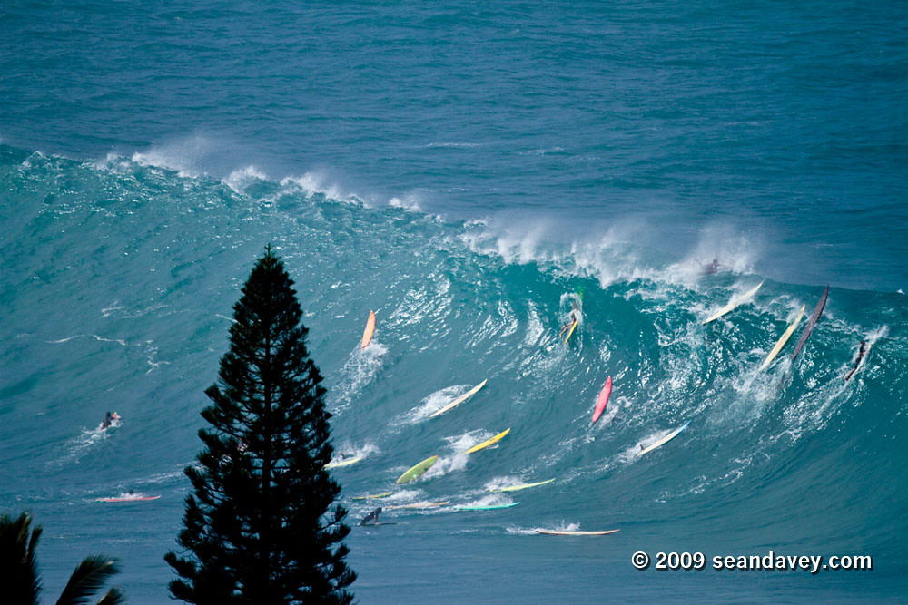 surfing a huge wave at Waimea Bay, on the north shor eof Oahu, Hawaii