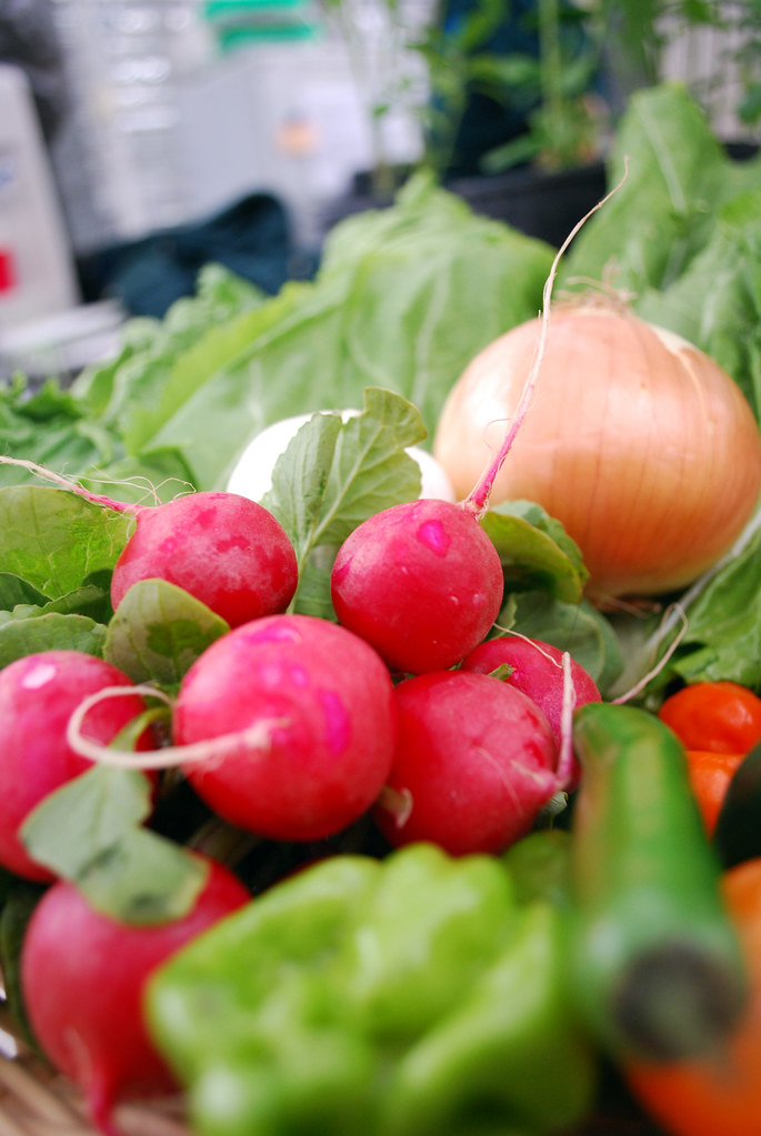 Radishes are spicy? You'll be surprised just how many comm… Flickr