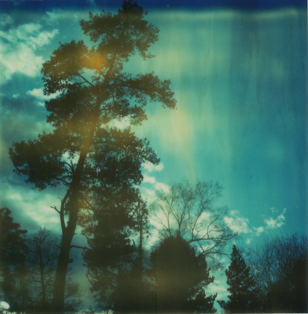 Surrey, January 29th, 2010 The Gentleman Amateur Flickr