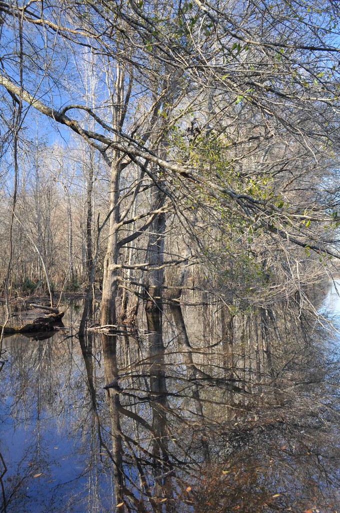Ohoopee River, 9 John Flickr