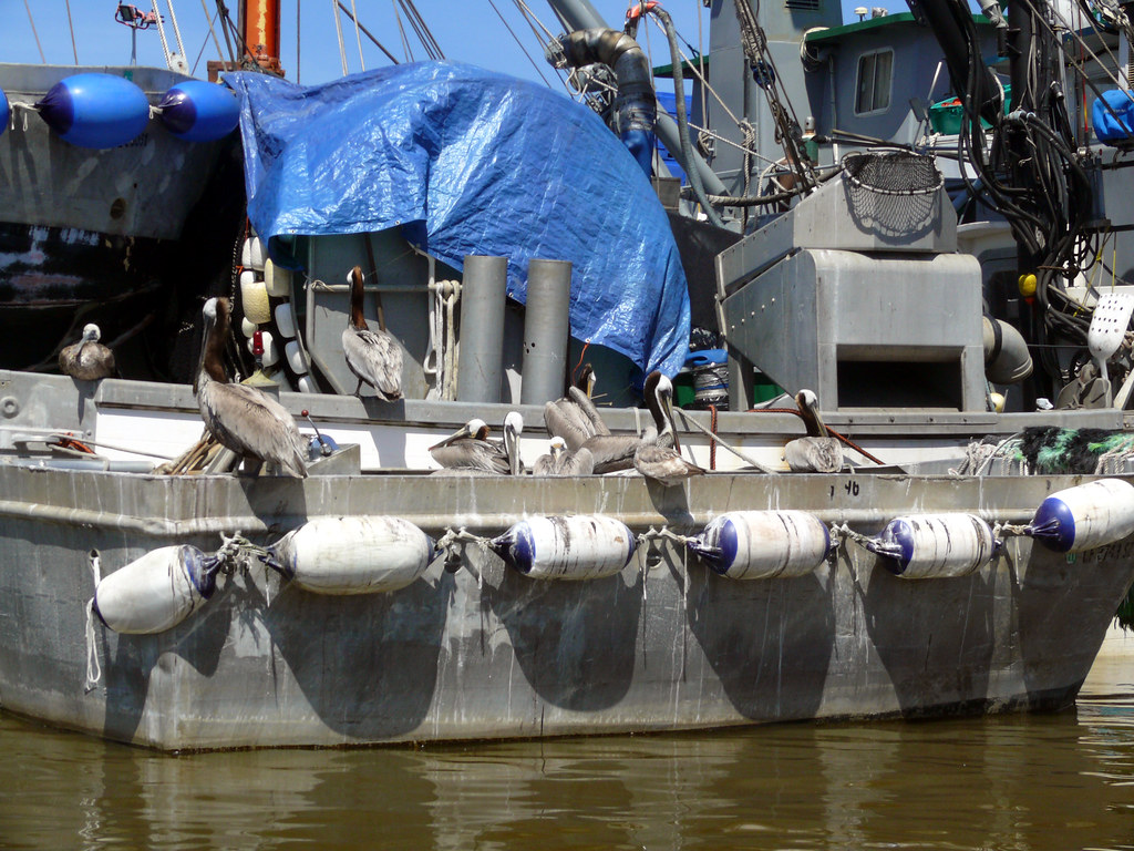 Audience1 Opening day at the Elkhorn Yacht club May 1, 201… Jeanne
