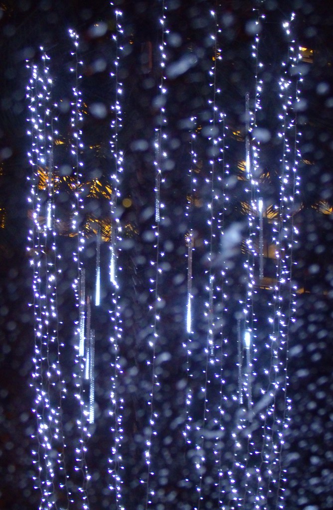 Christmas lights Rainy evening. I know, this sucks. I took… Flickr