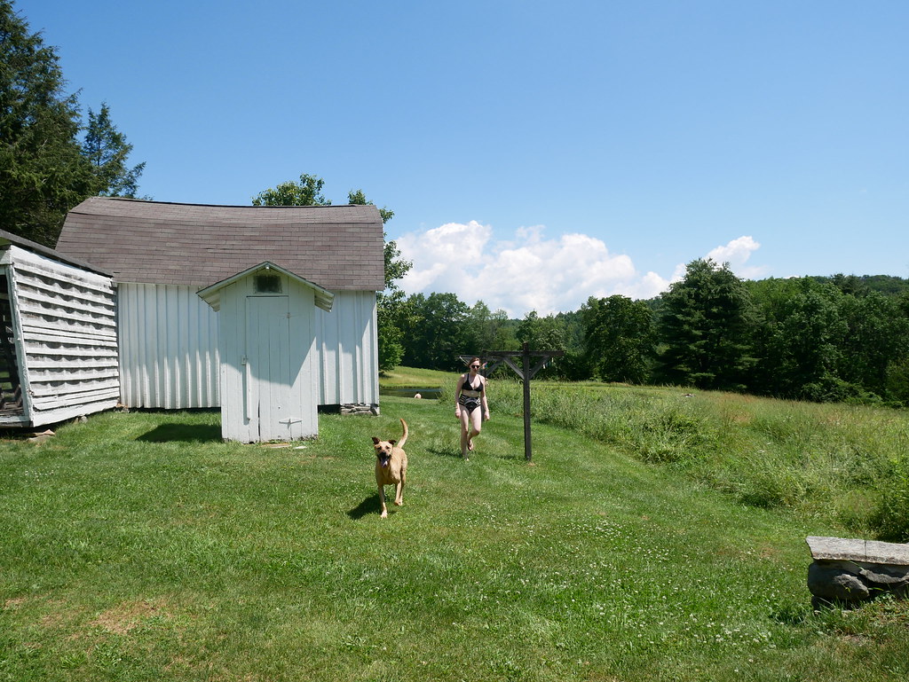 P1020062 Pine Creek 2017 john obrien Flickr