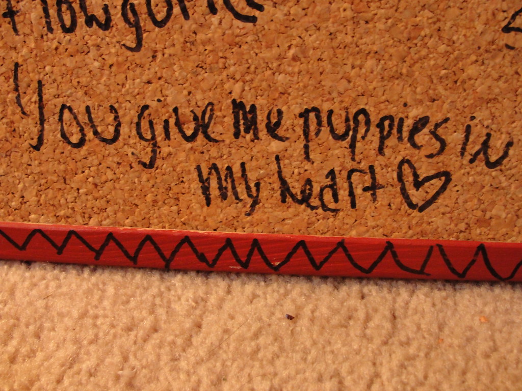 Lyrics. "You give me puppies in my heart." J. Bigga