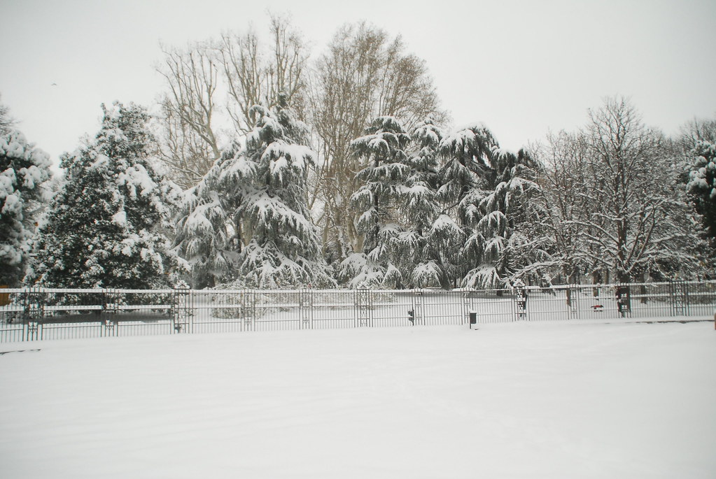 The thirty cm day!!!! (5) Snow in Bologna (North Italy) Flickr