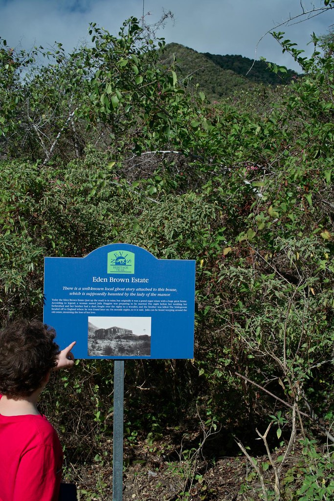 0055 Eden Brown Estate ruins haunted! Dan Levine Flickr