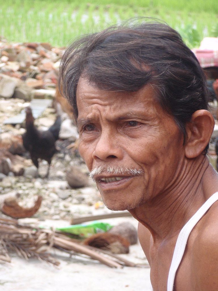 Rice farmer Pak Darlis, a rice farmer who earns about 140… Flickr