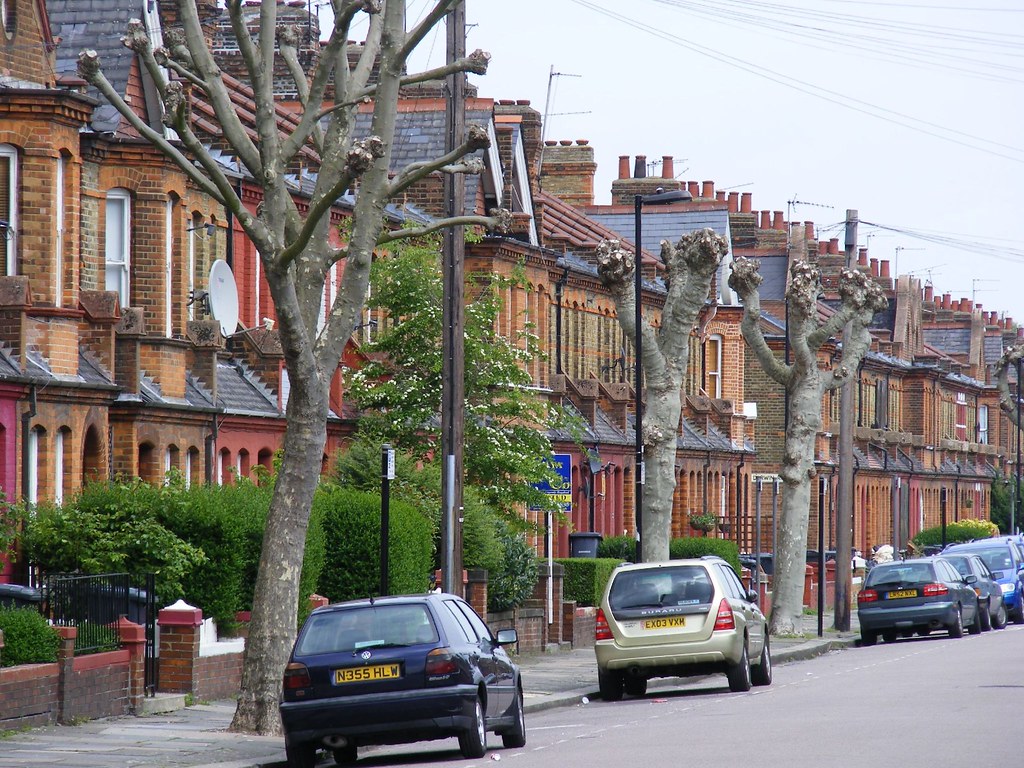 Noel Park Estate N22. Lopped trees. Sludge G Flickr