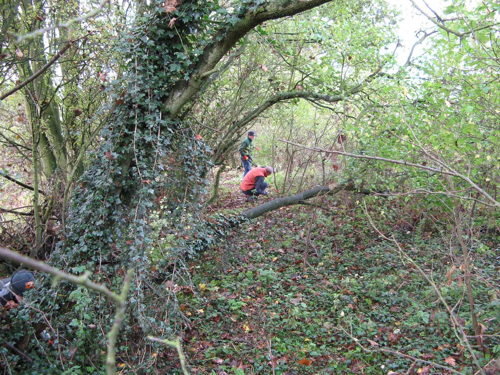 Hardwick Hall The start of the overgrown green lane Flickr