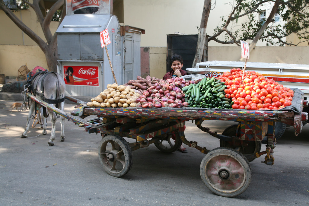 Donkey Vegetable Cart Donkey Vegetable Cart. Maadi, Egypt.… Flickr