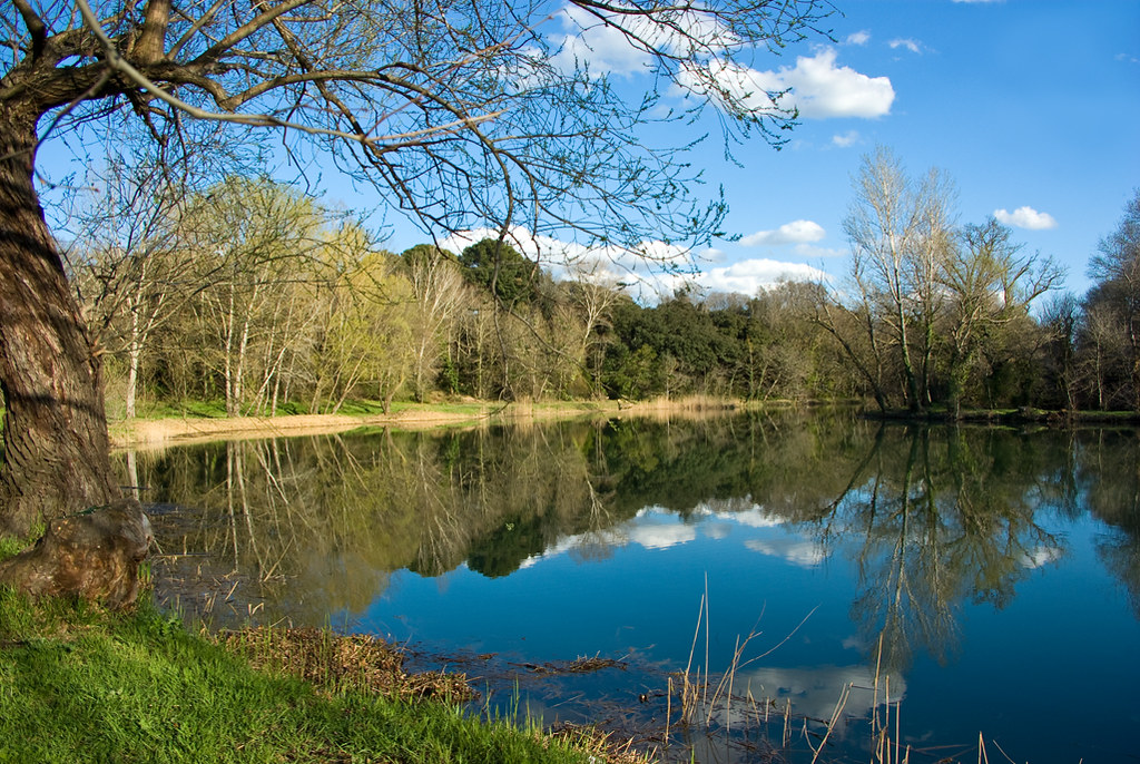 Reflets sur l'étang Fontaine Marie Rose à Grans ジャン=ルイは Flickr