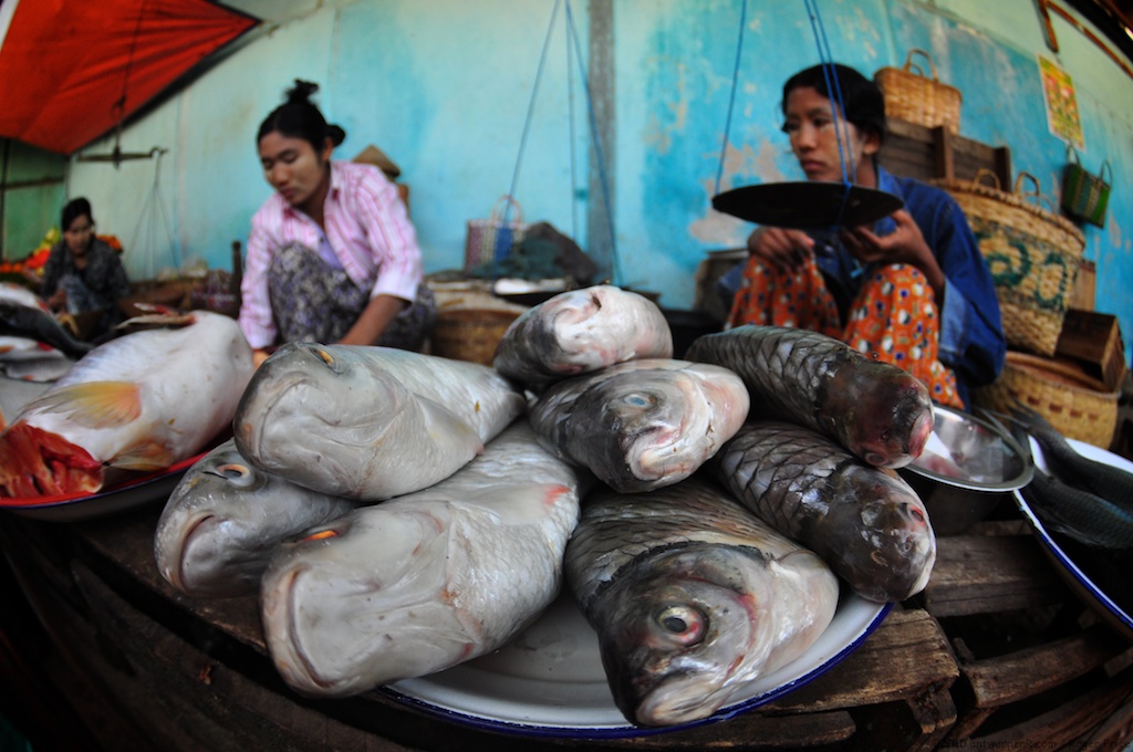 Fresh fish also a possibility Roger Price Flickr