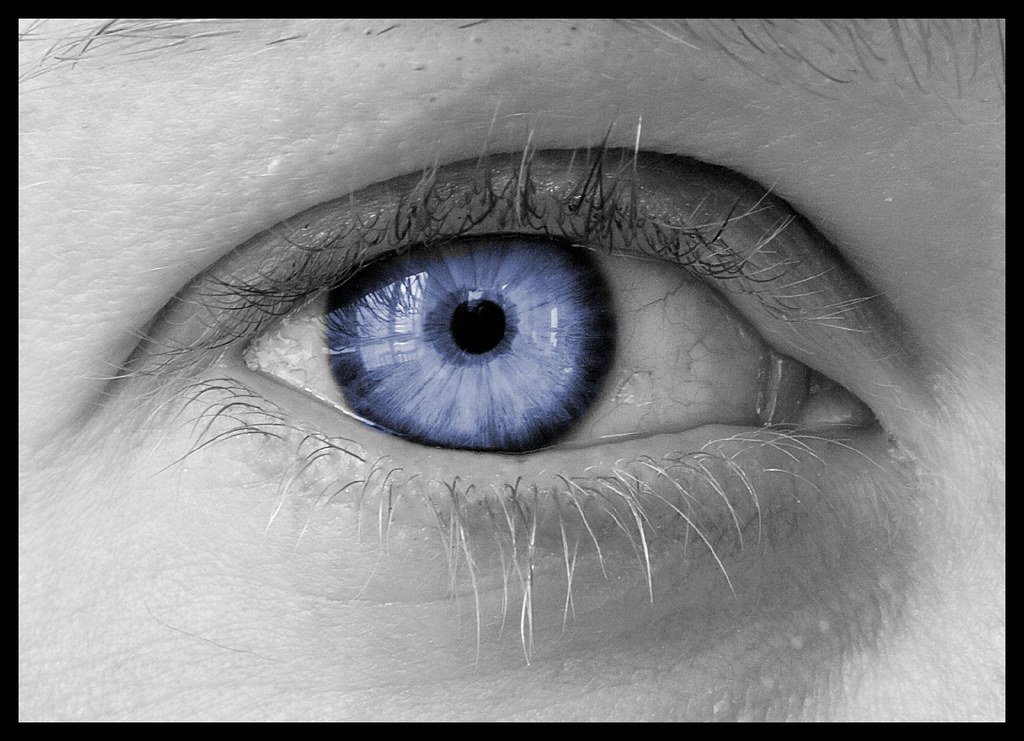Blue Eye Blue Eye BEST VIEWED IN LARGE SIZE lapideo Flickr