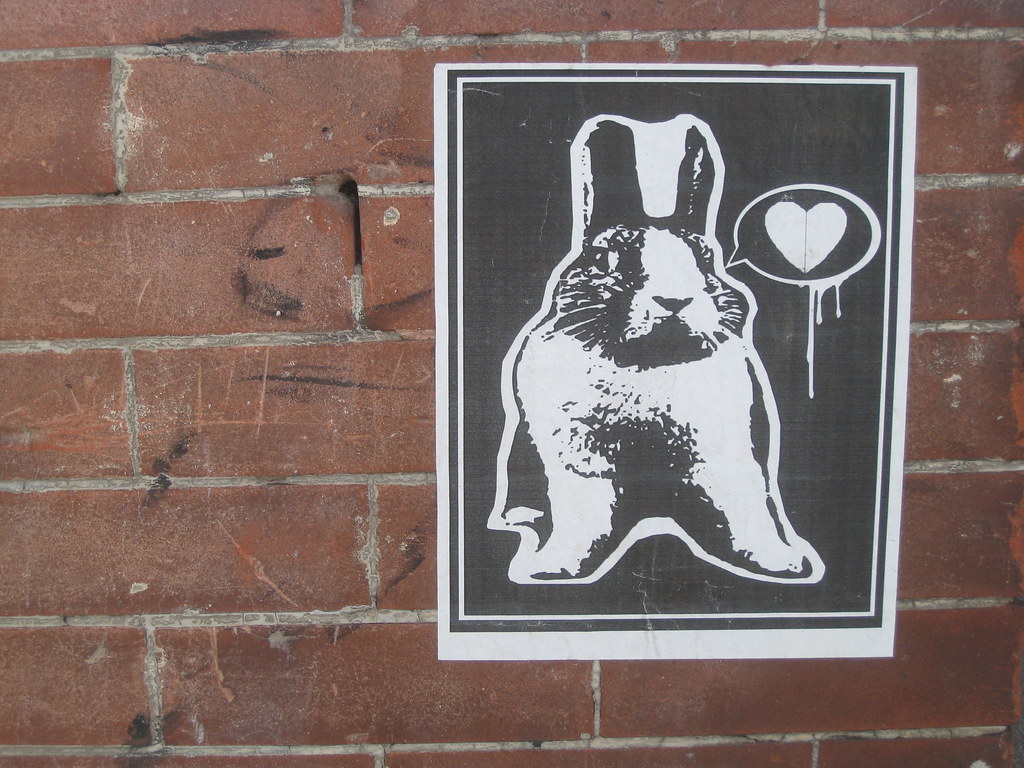 After Easter Bunny, Denver, 05 April 10. David Flickr