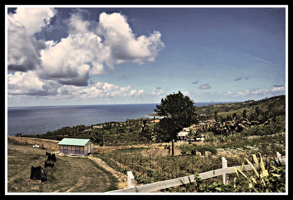 Barbados, Farm Landscape (SHDR) © Select Photography 5737h… Flickr