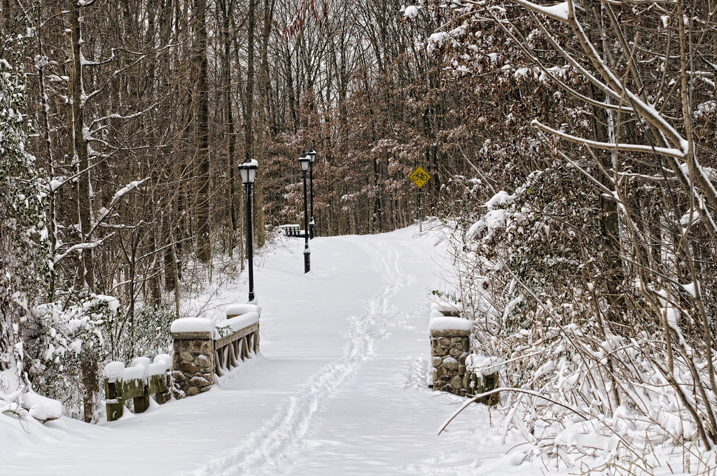 Winterland Taken at Bloomingdale Park, Staten Island, NY. Robert
