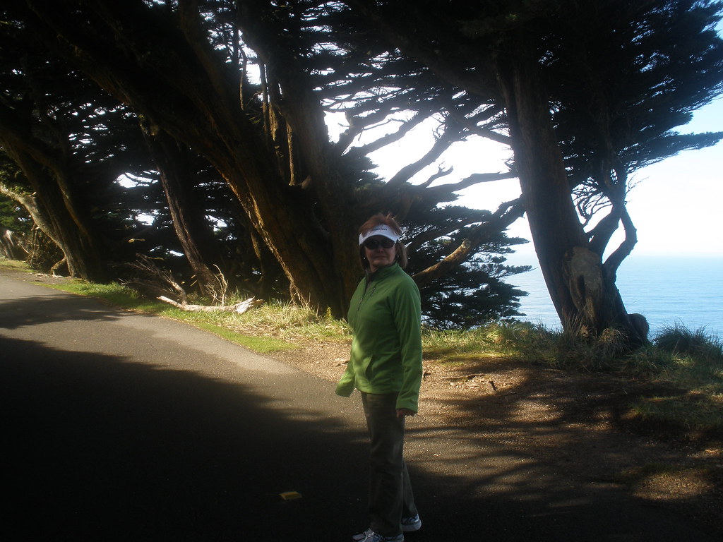 point reyes 035 Road from parking lot to stairs leading to… Flickr