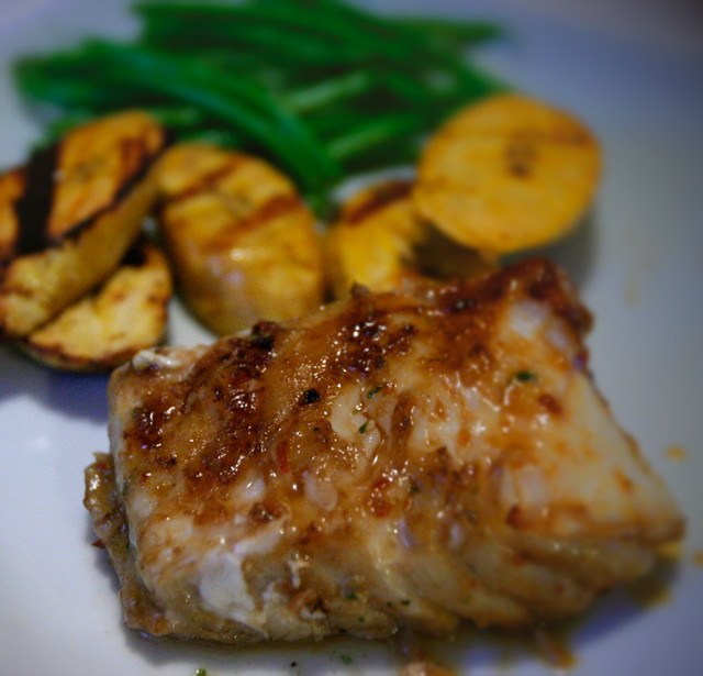 Halibut with orange glaze Comely halibut fillet with grill… Flickr