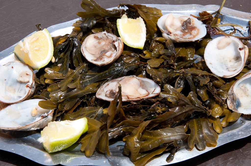 seaweed & oysters Jenene Chesbrough Flickr