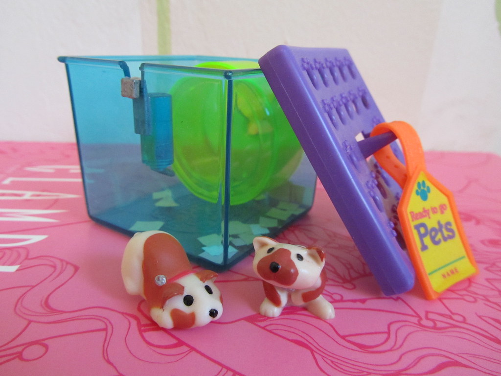 Busy Hamsters Ready To Go Pets Neddy and Freddy Freddy's… Flickr