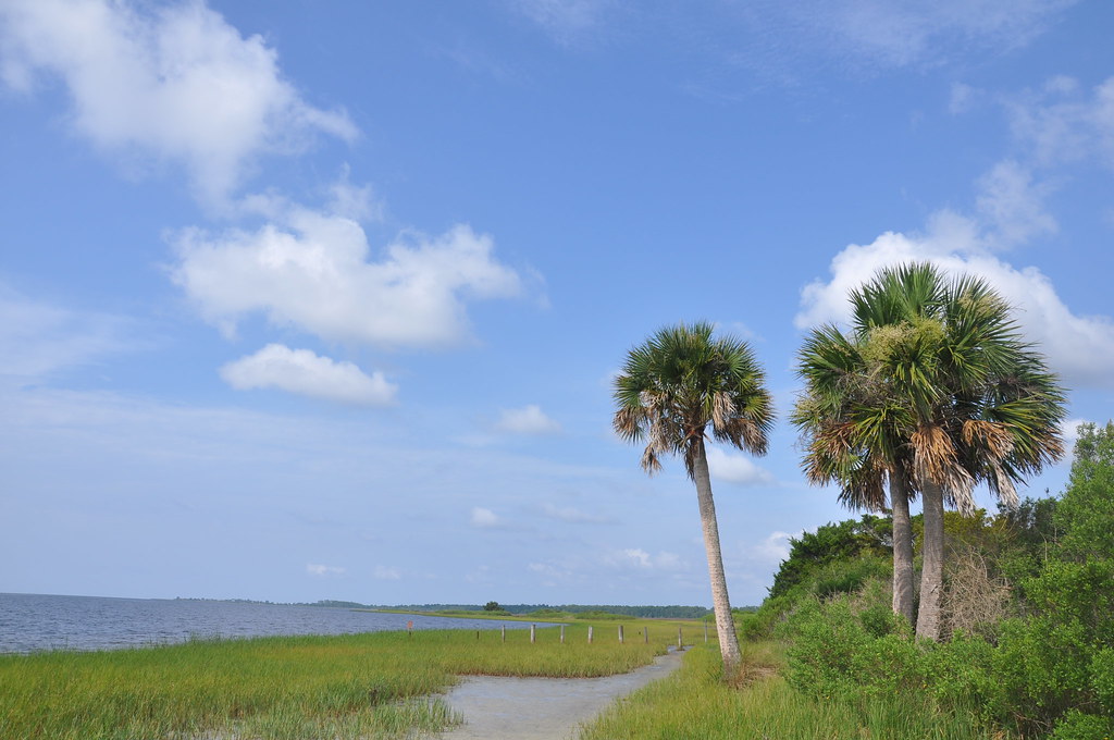 Wakulla Beach Day 2 FWC photo by Margaret Thompson Florida Fish and
