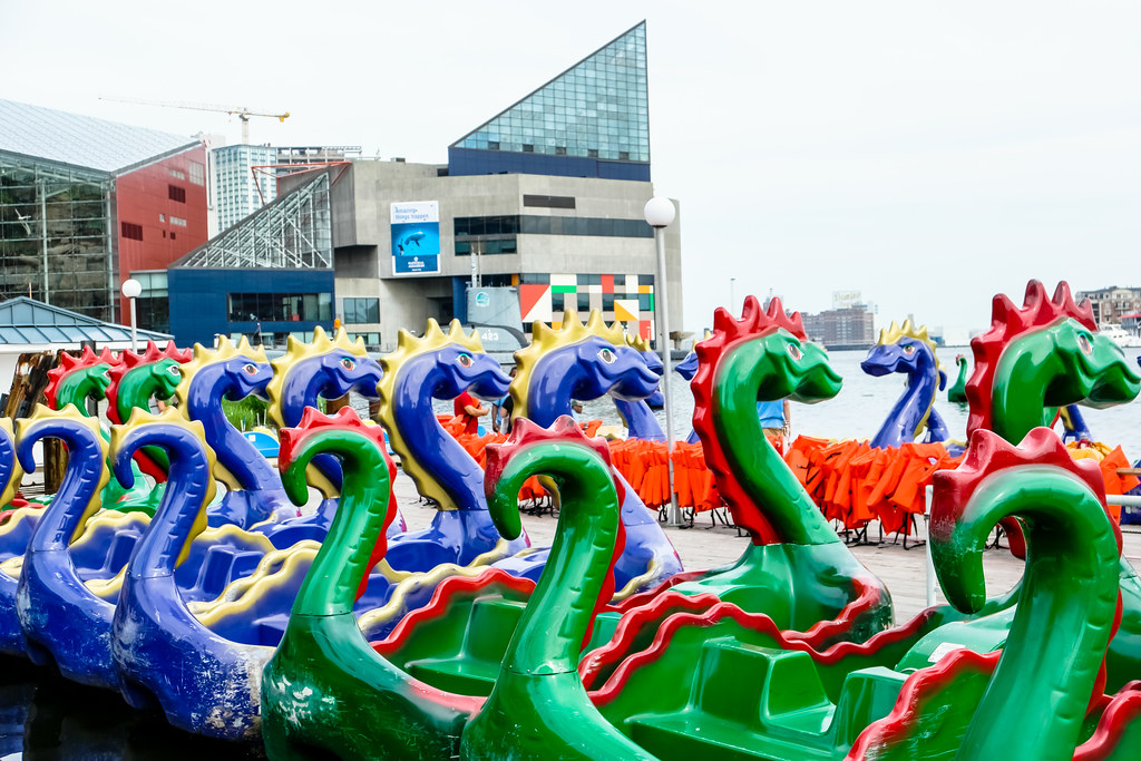 Pedal Boats Ready to be rented for the day, pedal boats ar… Flickr