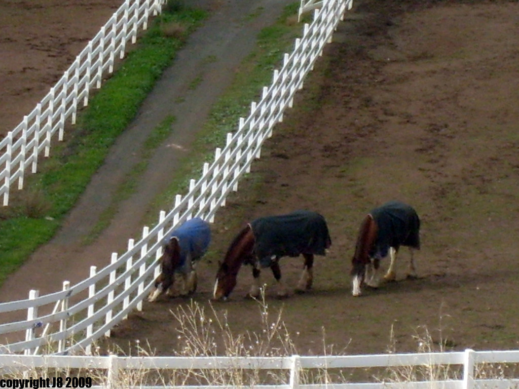 Quimby Road San Jose CA JAB88. Flickr