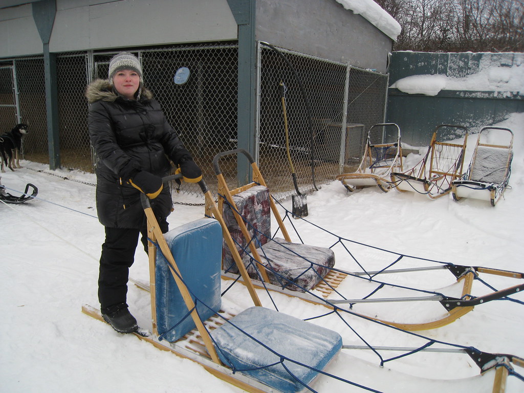 Dog Sledding At Beck's Kennels in Yellowknife. Mack Male Flickr