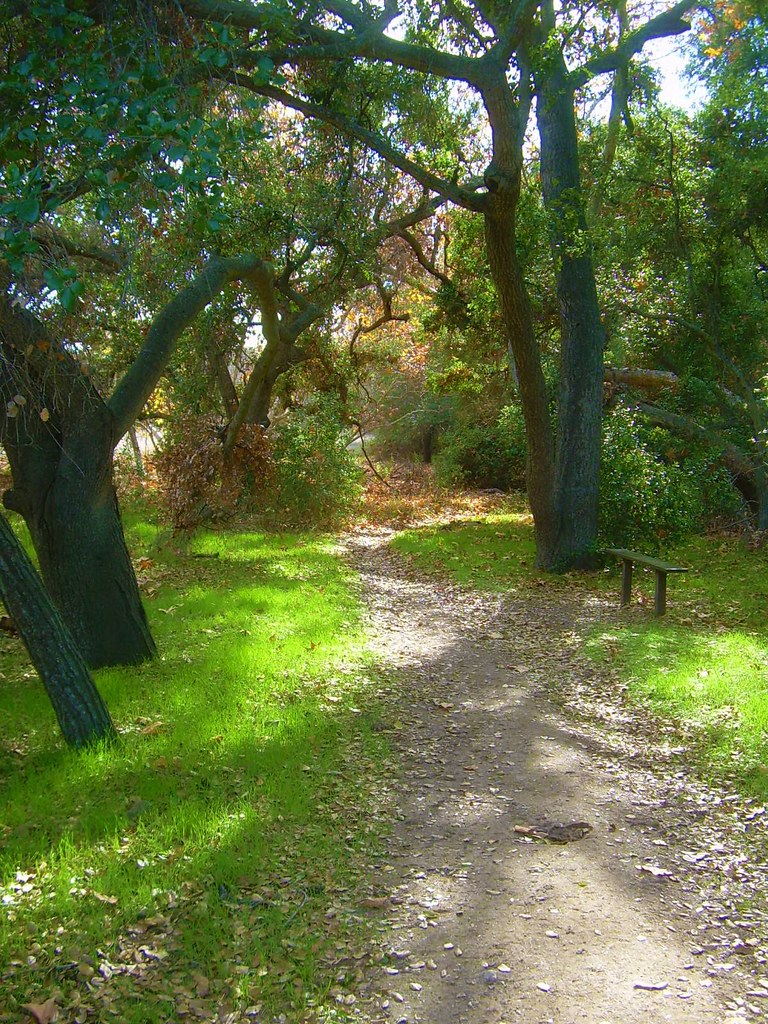 Caspers Wilderness Park Oak Trail The hike loops back tow… Flickr