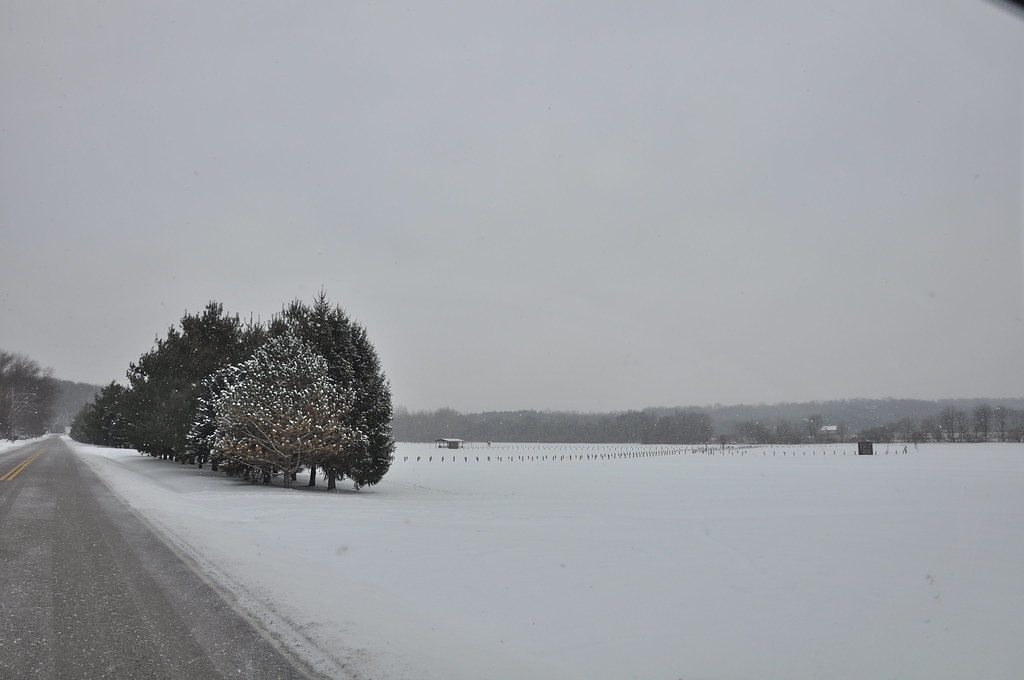 Washington Mill Road (1910) Brevort Flickr