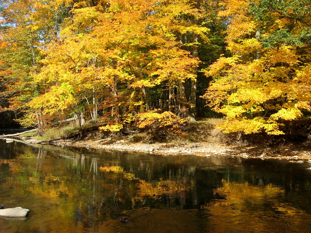 PA, Penns Creek Fall colors on Penns Creek at Little Poe S… Flickr