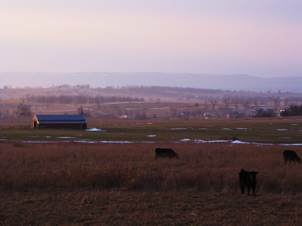 Elevation of Mc, Yellville, AR, USA Topographic Map Altitude Map