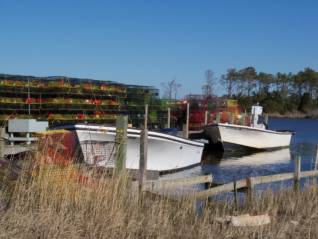 crab pots manns harbor, nc march 2010 dare county Sandra Rosell