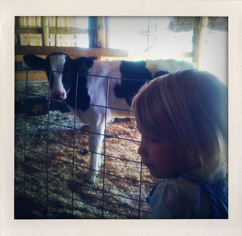 Hatcher Dairy Farm Tour Flickr