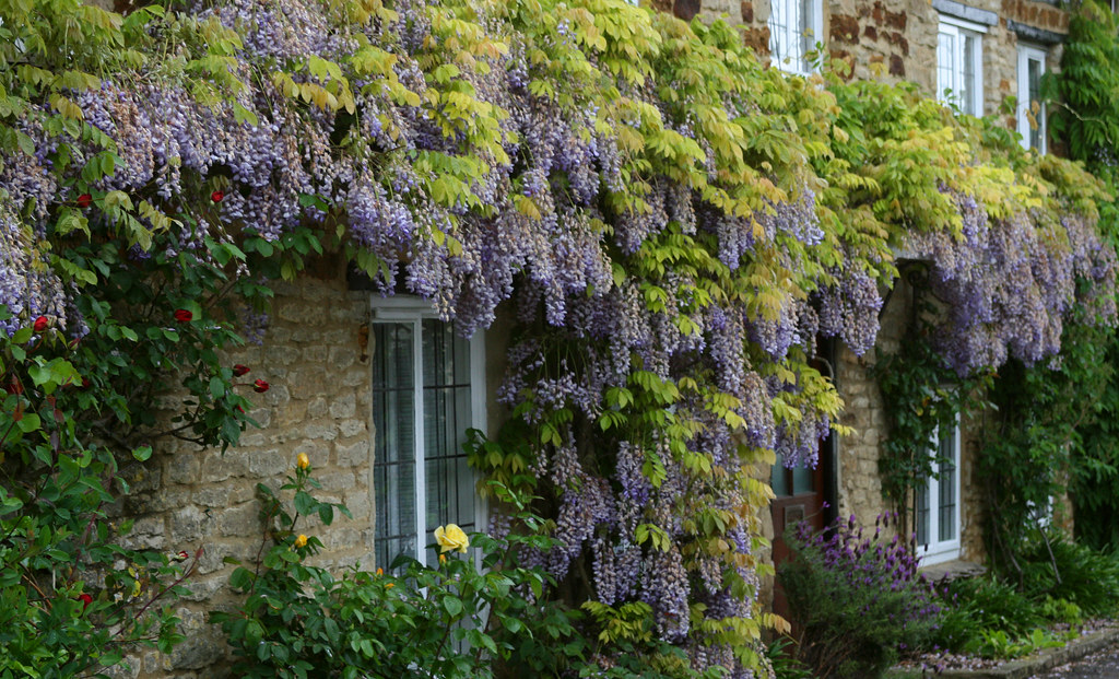 STEEPLE ASTON VILLAGE GARDENS LINDSEY RENTON Flickr