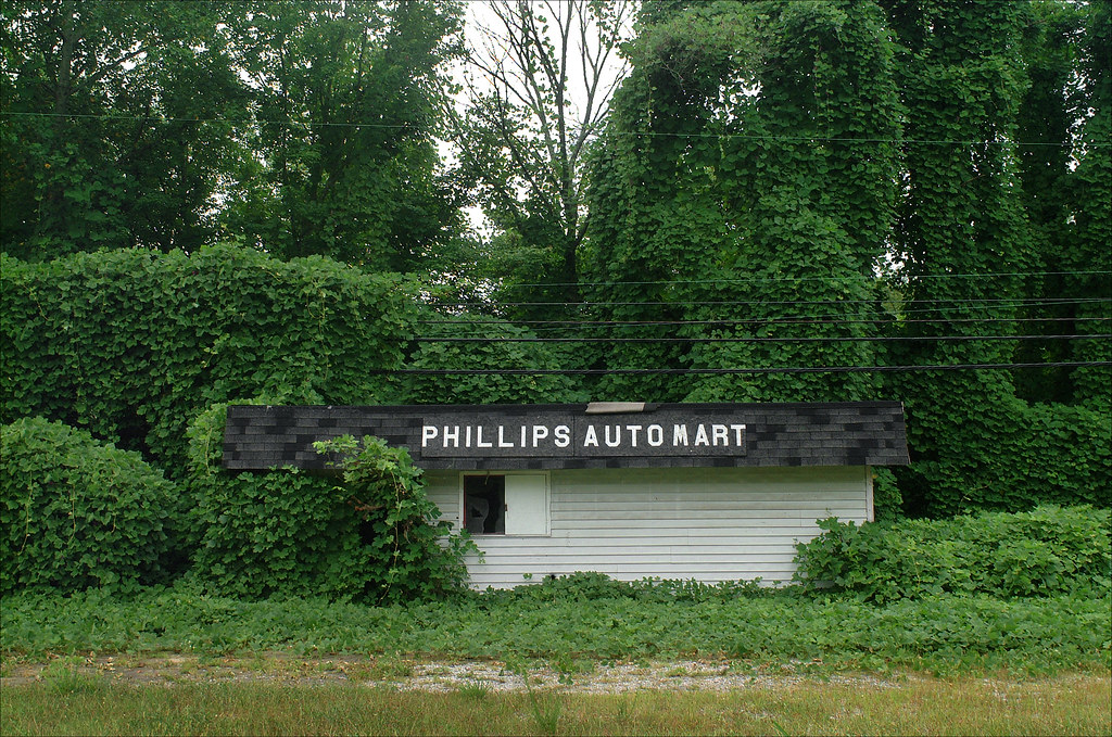 Triumph of the kudzu Abandoned usedcar lot in Barbourvill… Flickr