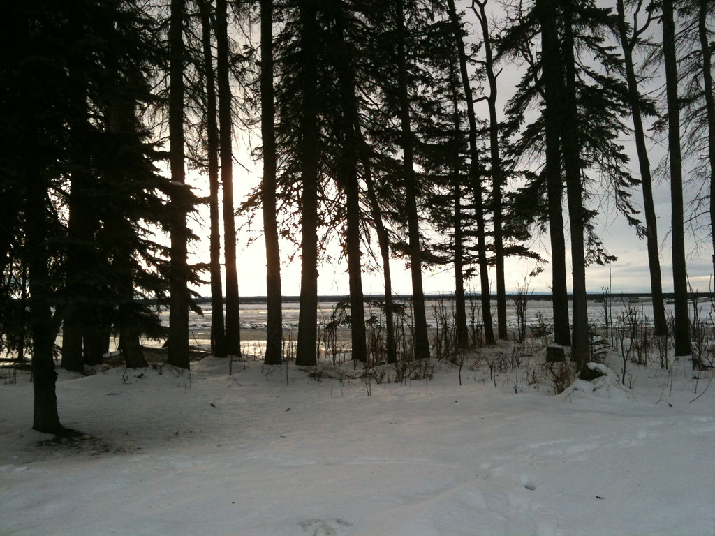 Elevation of Nikiski, AK, USA Topographic Map Altitude Map