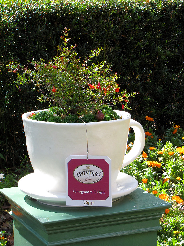 Flower and Garden Festival English Tea Garden disneylori Flickr