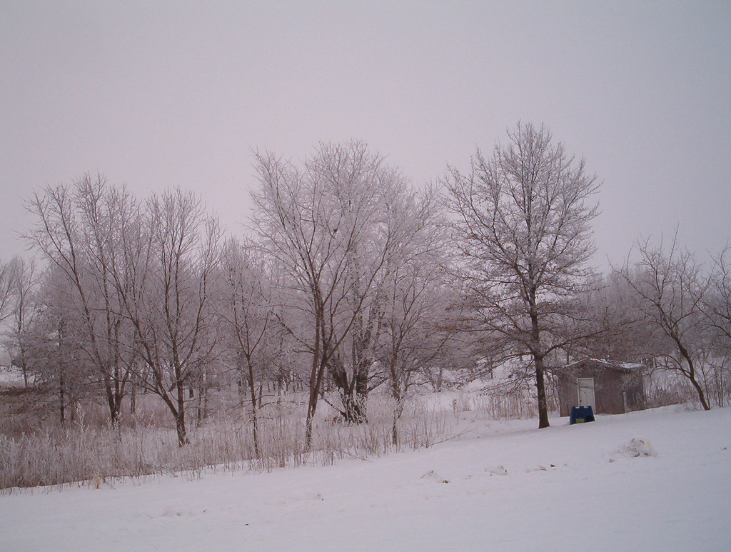 winter in missouri 005 wildchild992000 Flickr