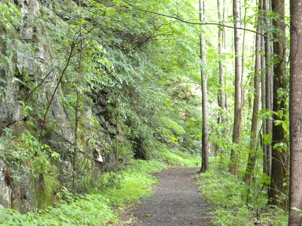 Thurmond09 An easy trail by West Virginia standards, the T… Flickr